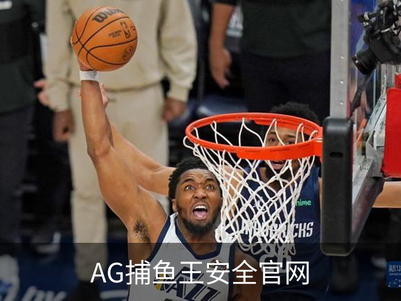 AG捕鱼王安全官网概况